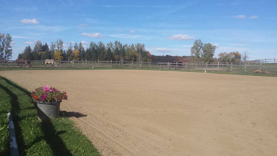 Leg Up Equestrian Enterprises