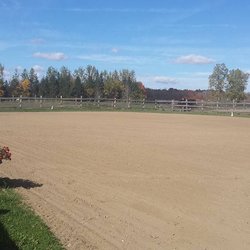 Leg Up Equestrian Enterprises