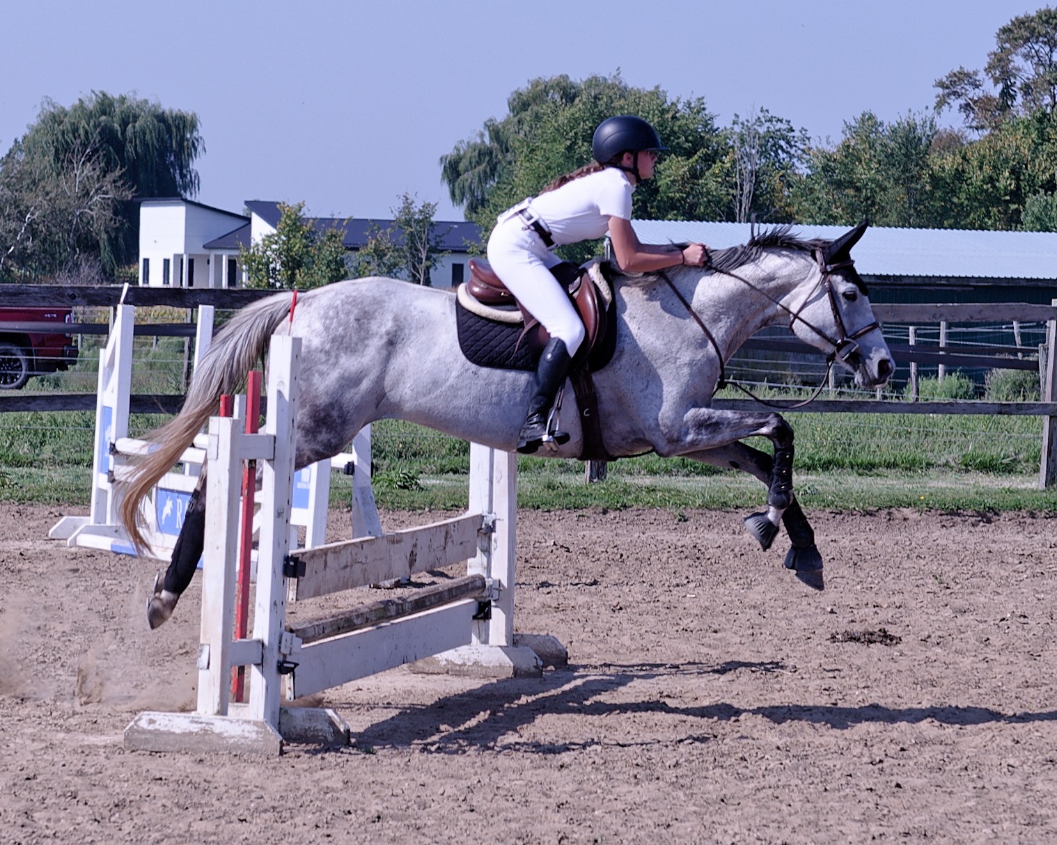 Railside View Equestrian