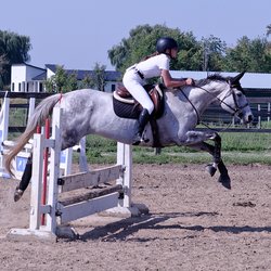 Railside View Equestrian