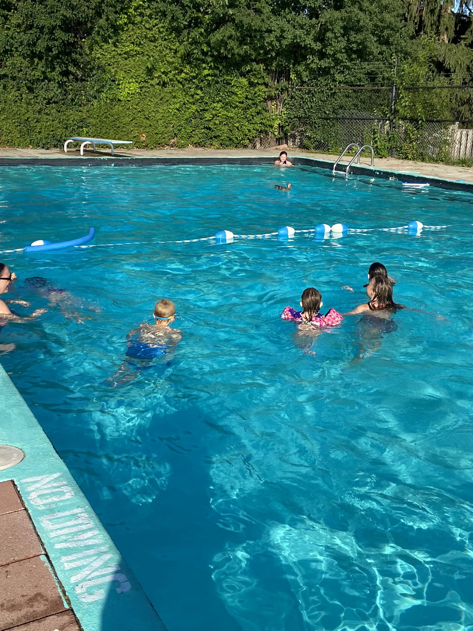 Forest Edge Community Pool