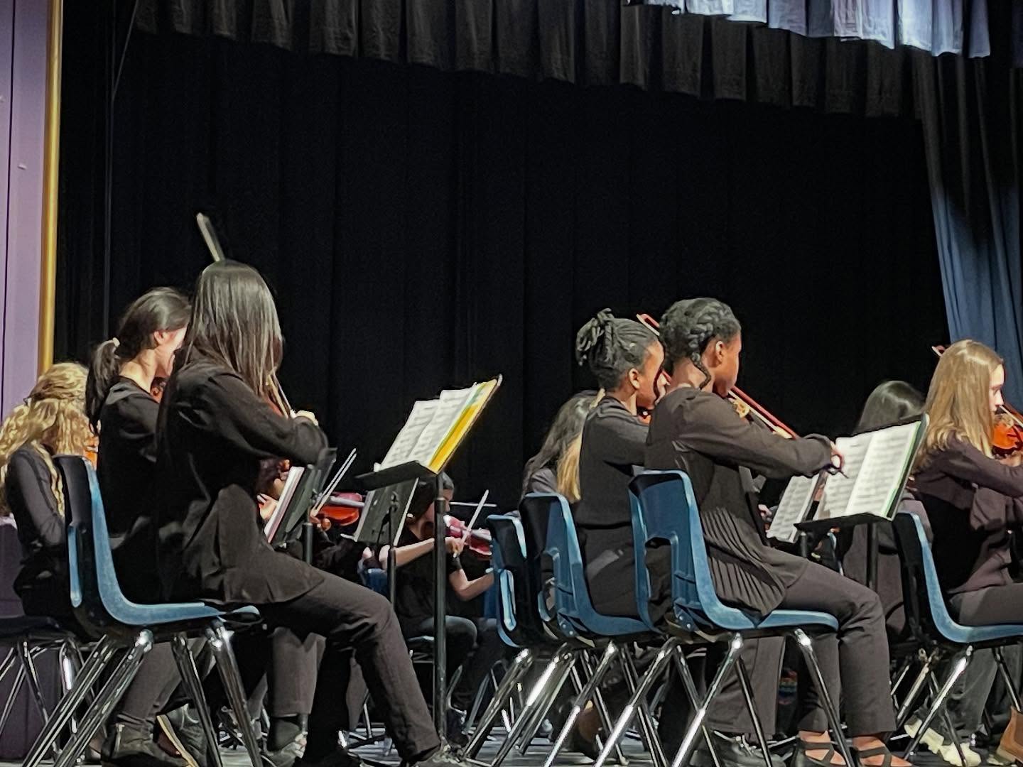 Maple and Spruce Music Academy