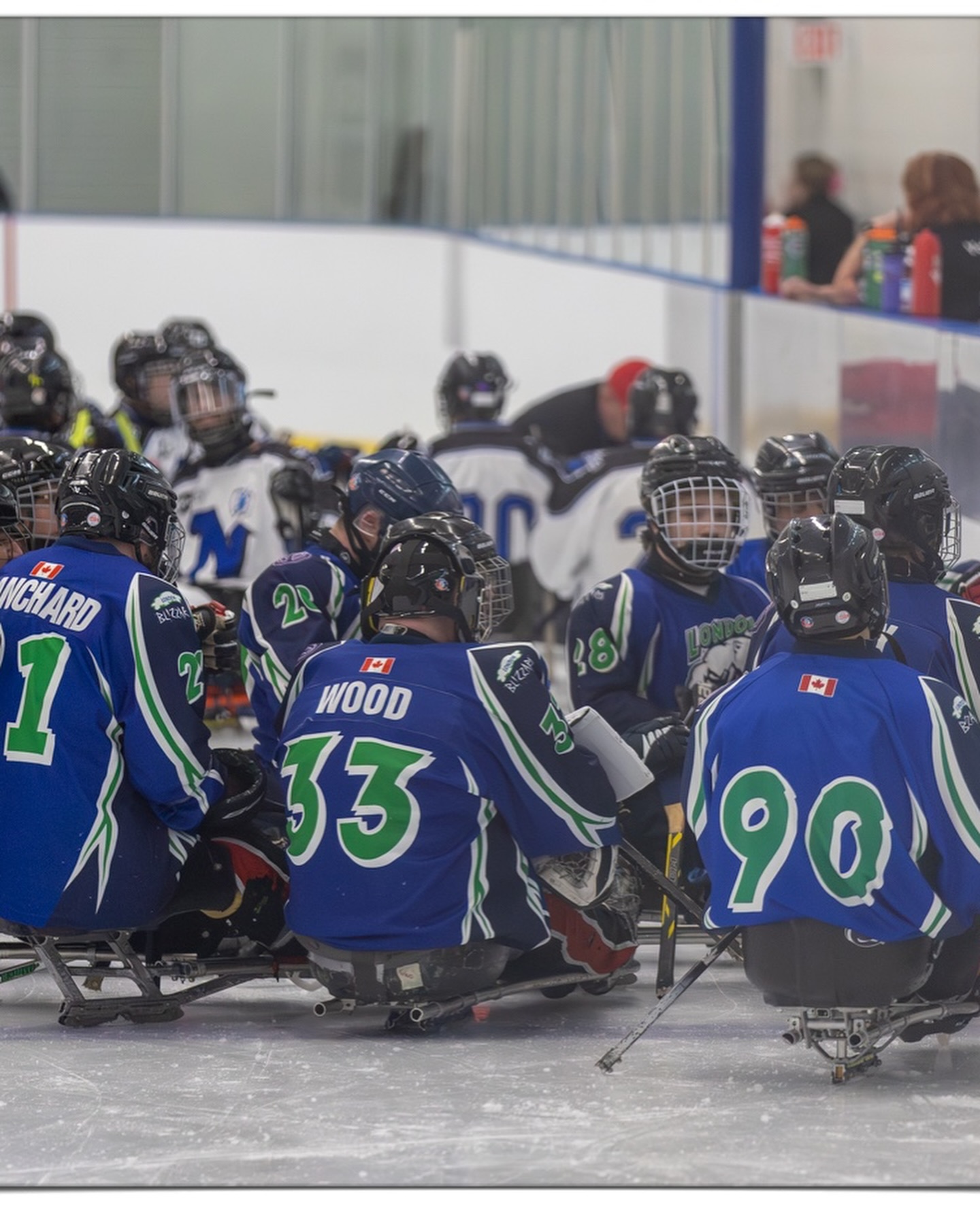 London Blizzard Sledge Hockey