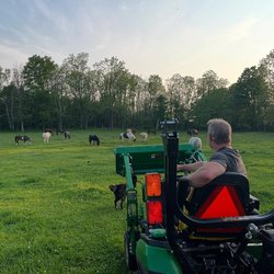 Horseshoe J Dude Ranch