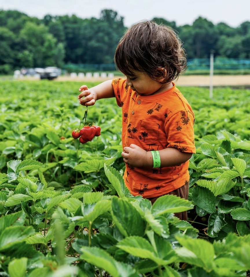 Kustermans Adventure Farm