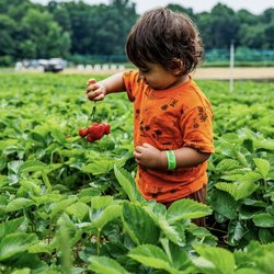 Kustermans Adventure Farm