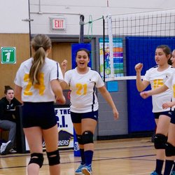 London Sharks Volleyball Club