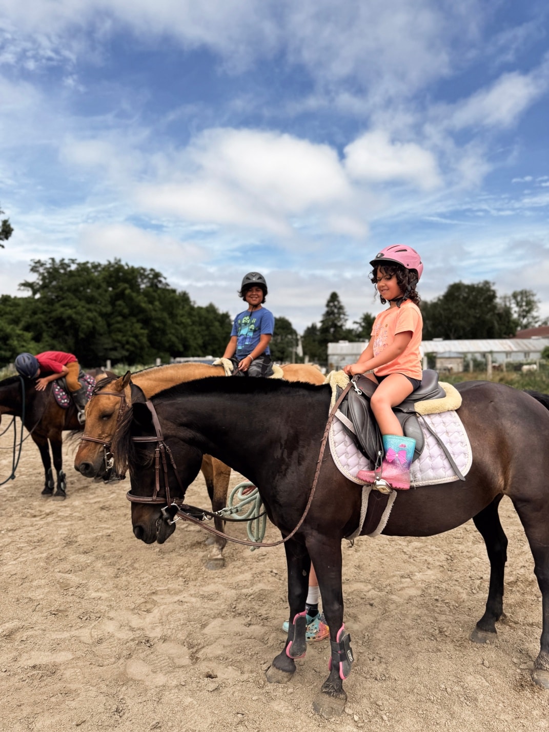 Twisted Willow Equestrian Centre