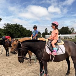 Twisted Willow Equestrian Centre