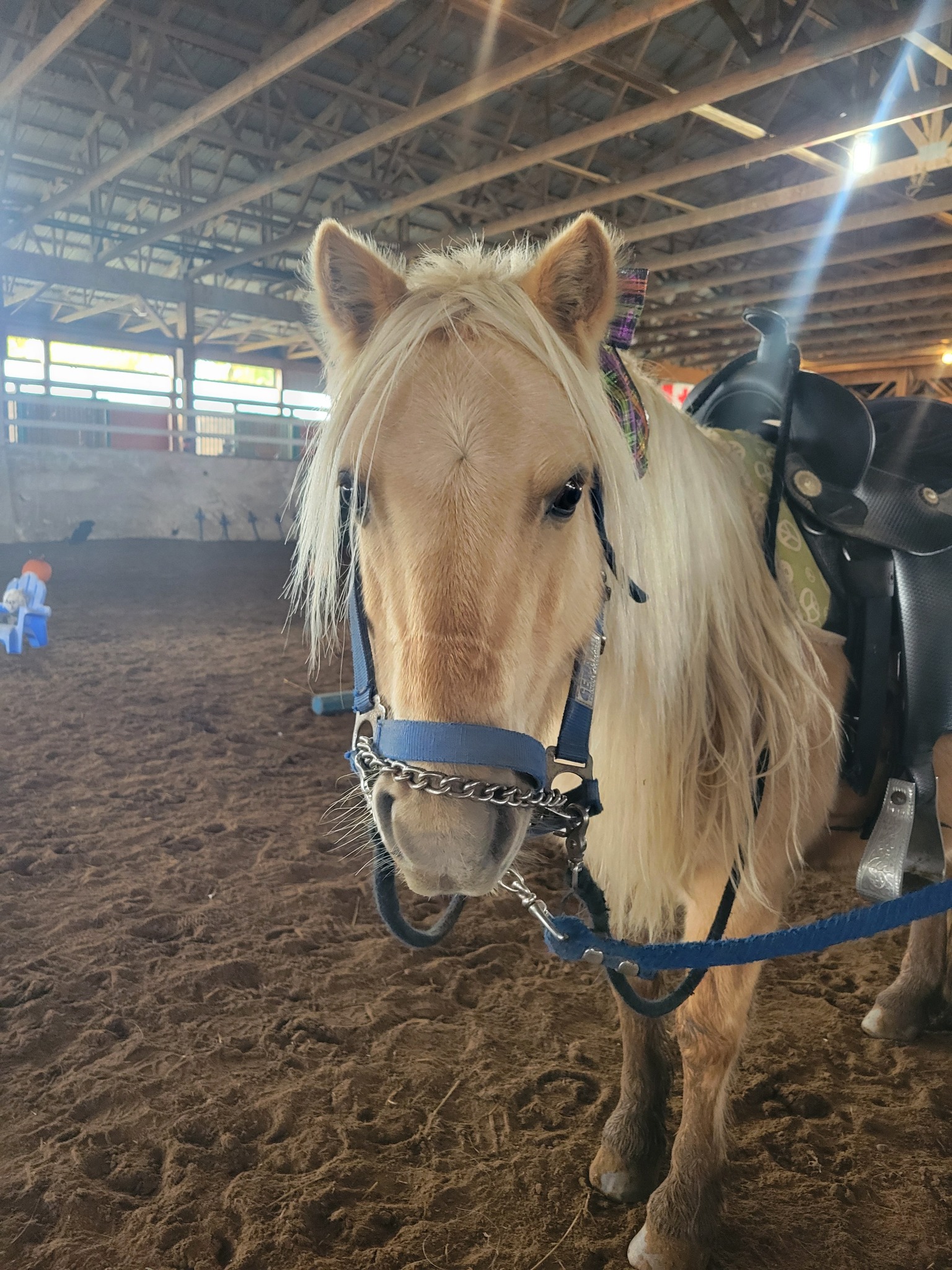 Good Huntin' Stables