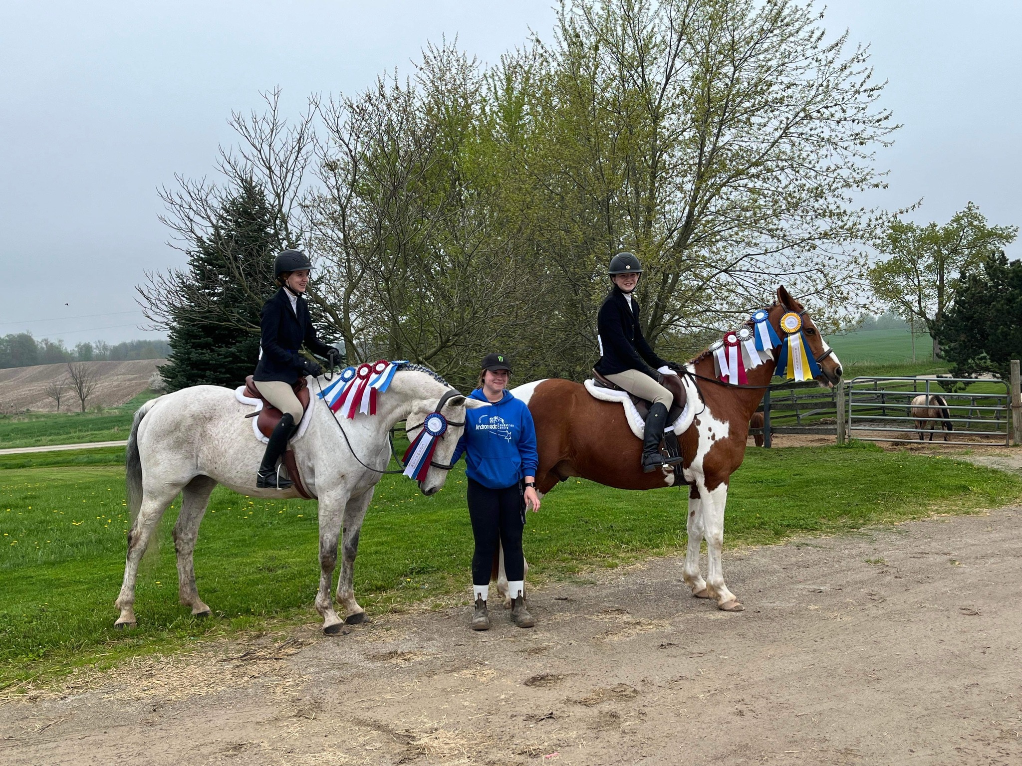 Andromeda Equestrian Centre