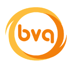 Beach Volleyball Academy