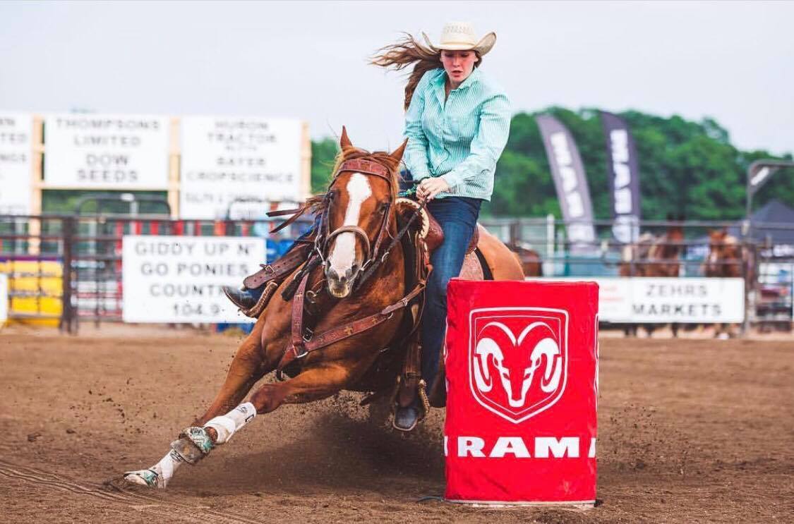 Triple D Quarter Horses