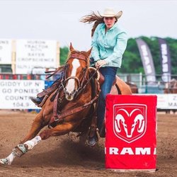 Triple D Quarter Horses