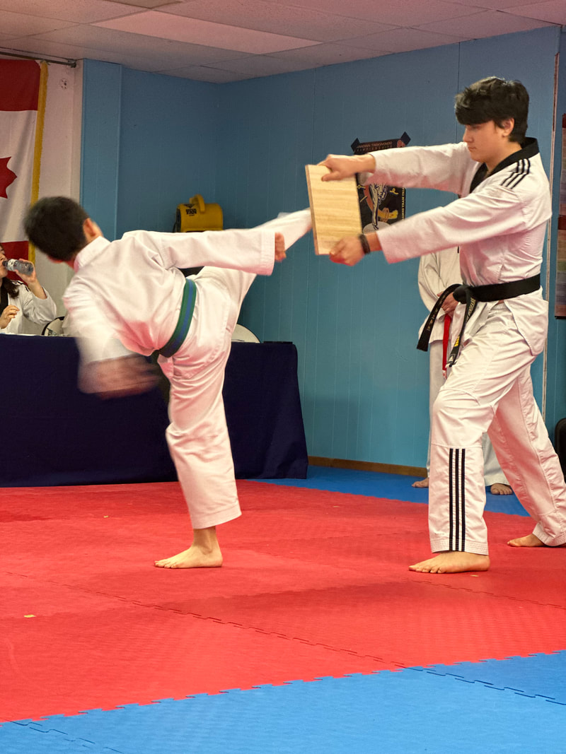 Tri Star Taekwondo