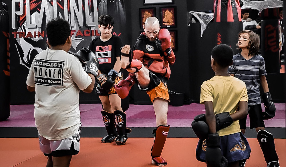 Platinum Martial Arts