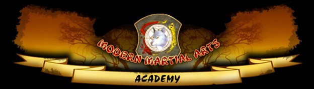 Steve Stuart Modern Martial Arts Academy