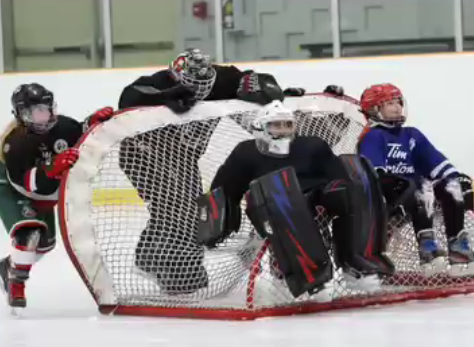 GO Hockey Leadership and Development