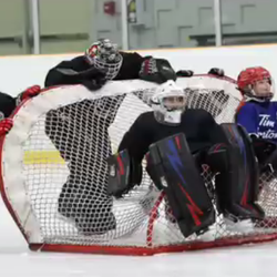 GO Hockey Leadership and Development