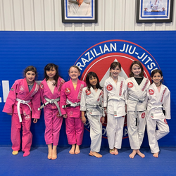 Gracie Barra Jiu Jitsu