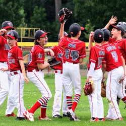 London West Tincaps Baseball Club