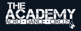 Academy Circus Acrobatics Camps
