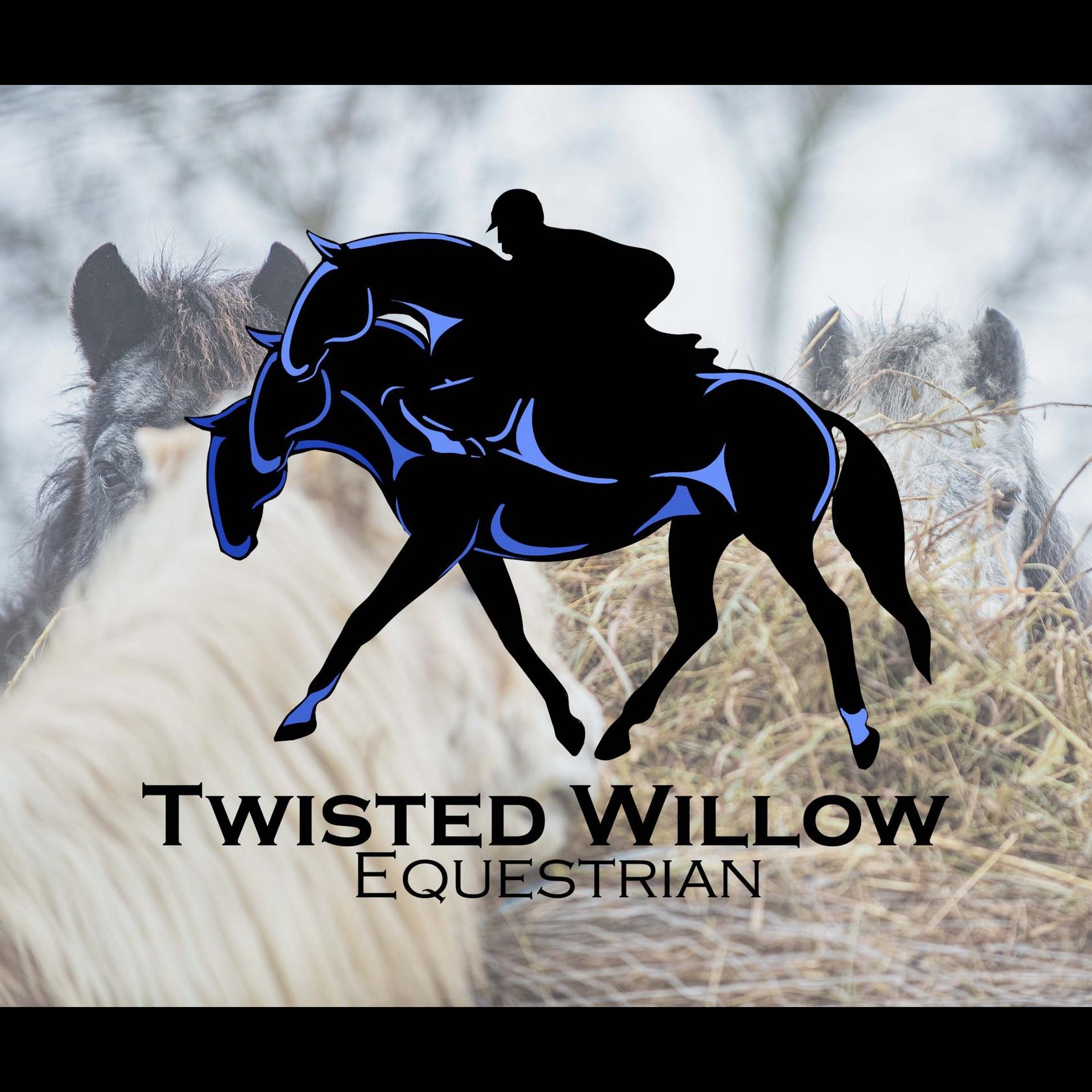 Twisted Willow Equestrian Centre