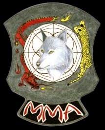 Steve Stuart Modern Martial Arts Academy