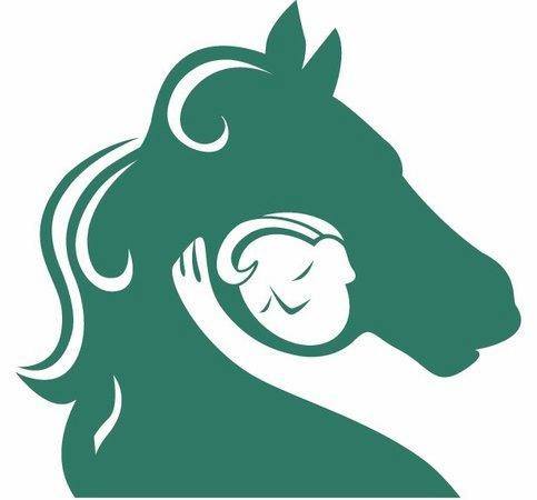 Sari Therapeutic Horsebackriding