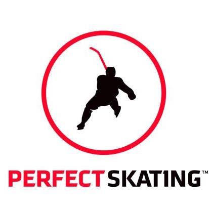 Perfect Skating