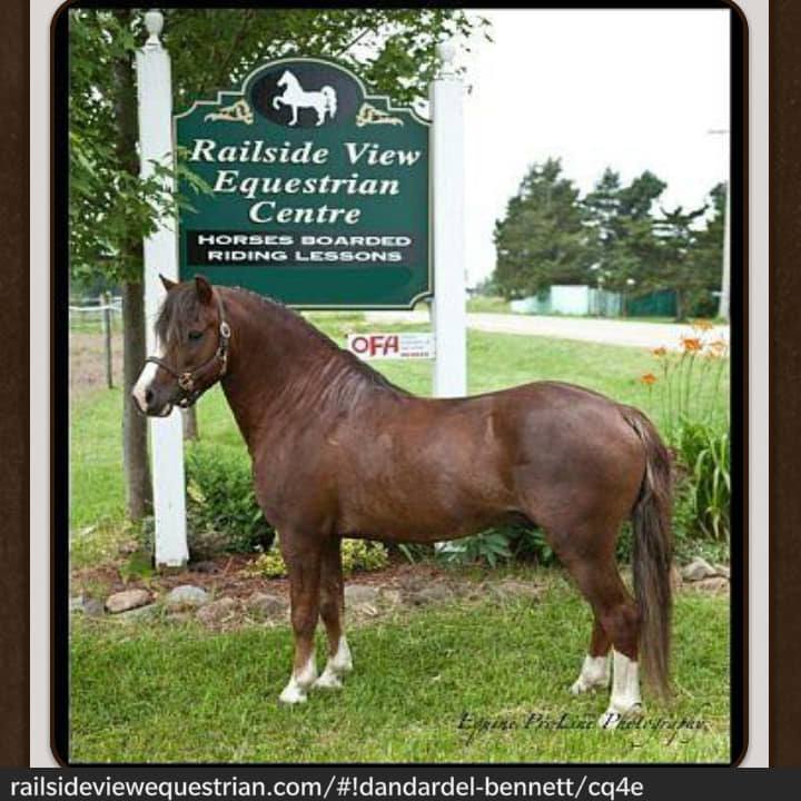 Railside View Equestrian